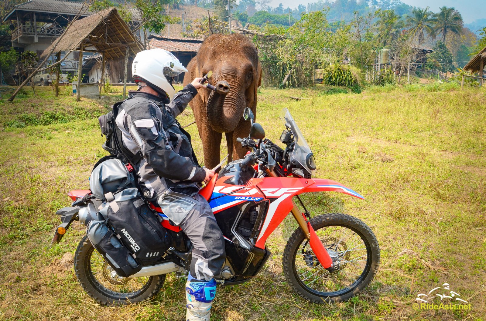 00crf1d.jpg