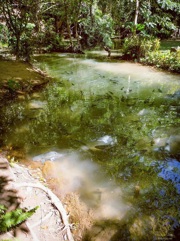 1605167388214.png