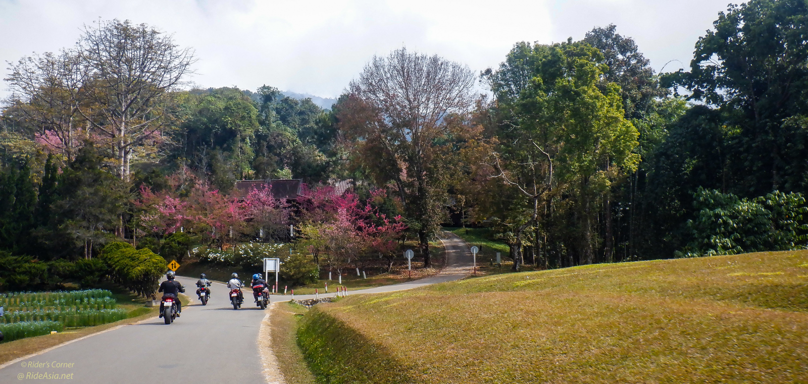 1610248351423.png