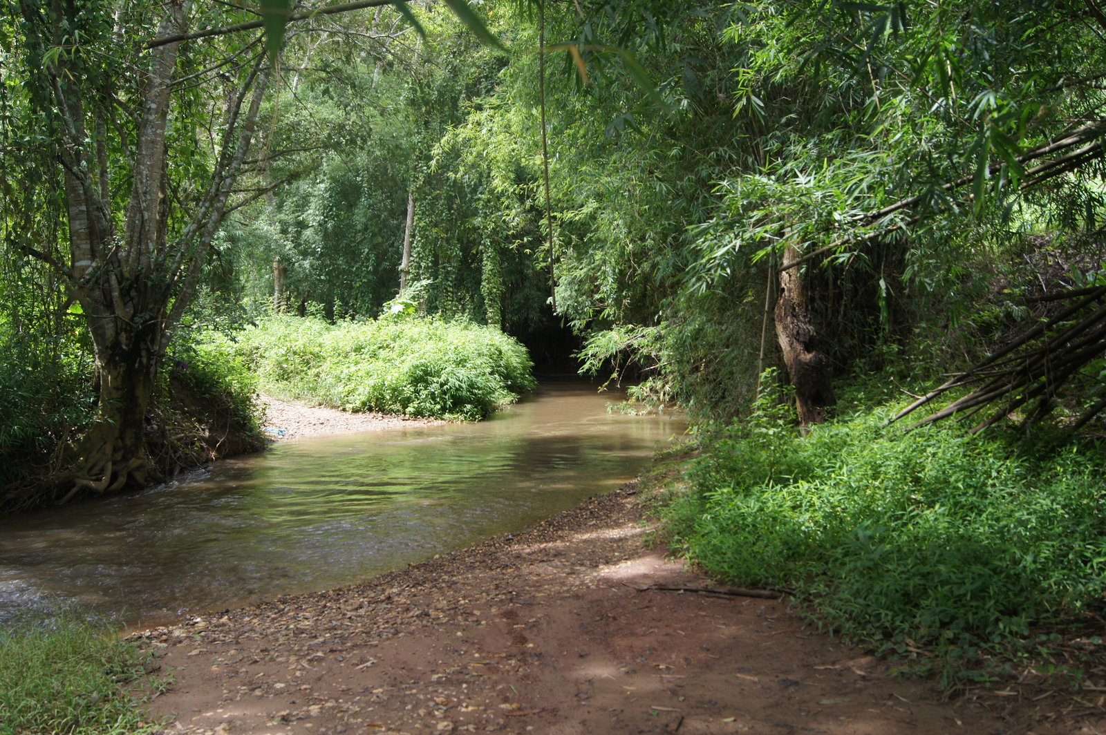 19b.jpg