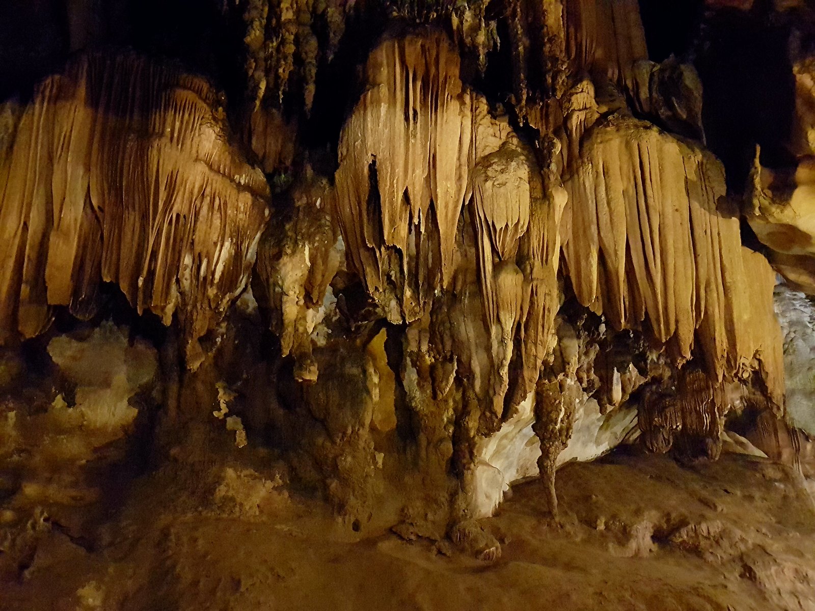 20161110_114019.jpg