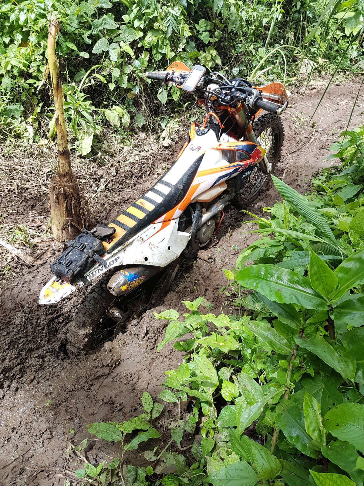 20180706_101025.jpg