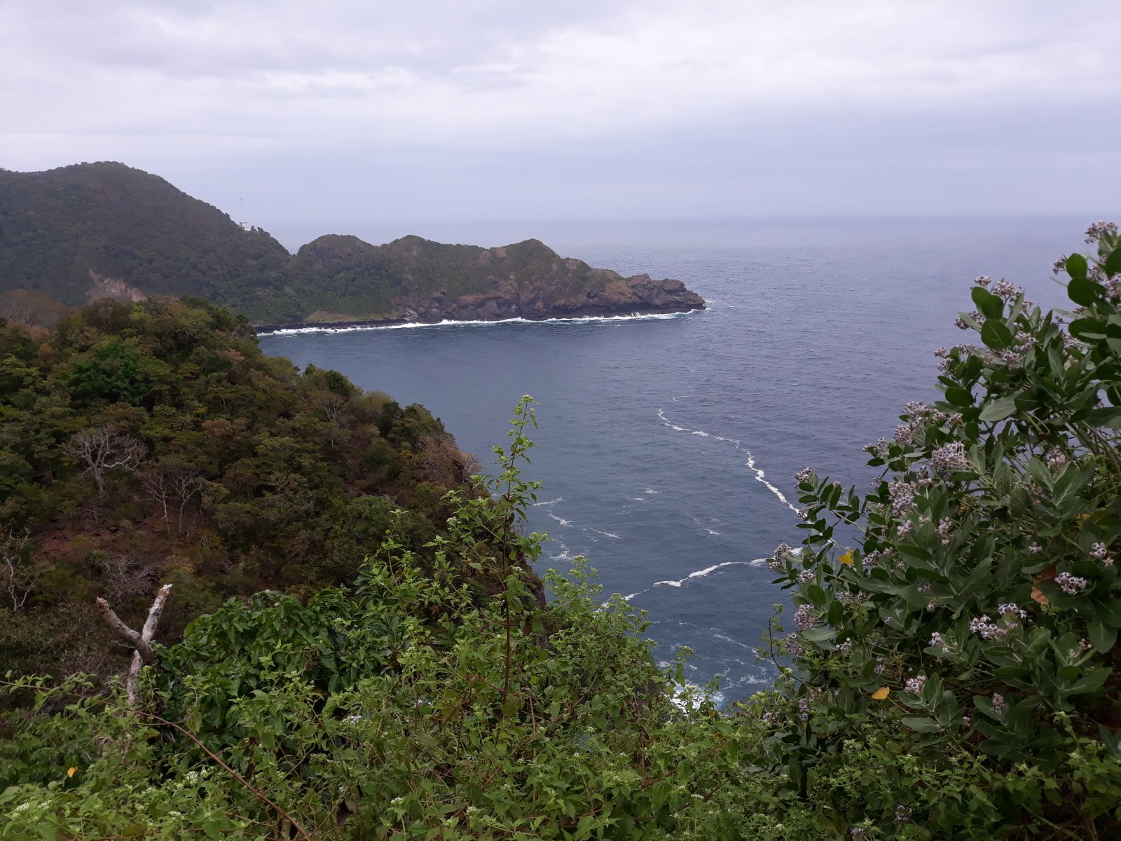 20190613_130040.jpg