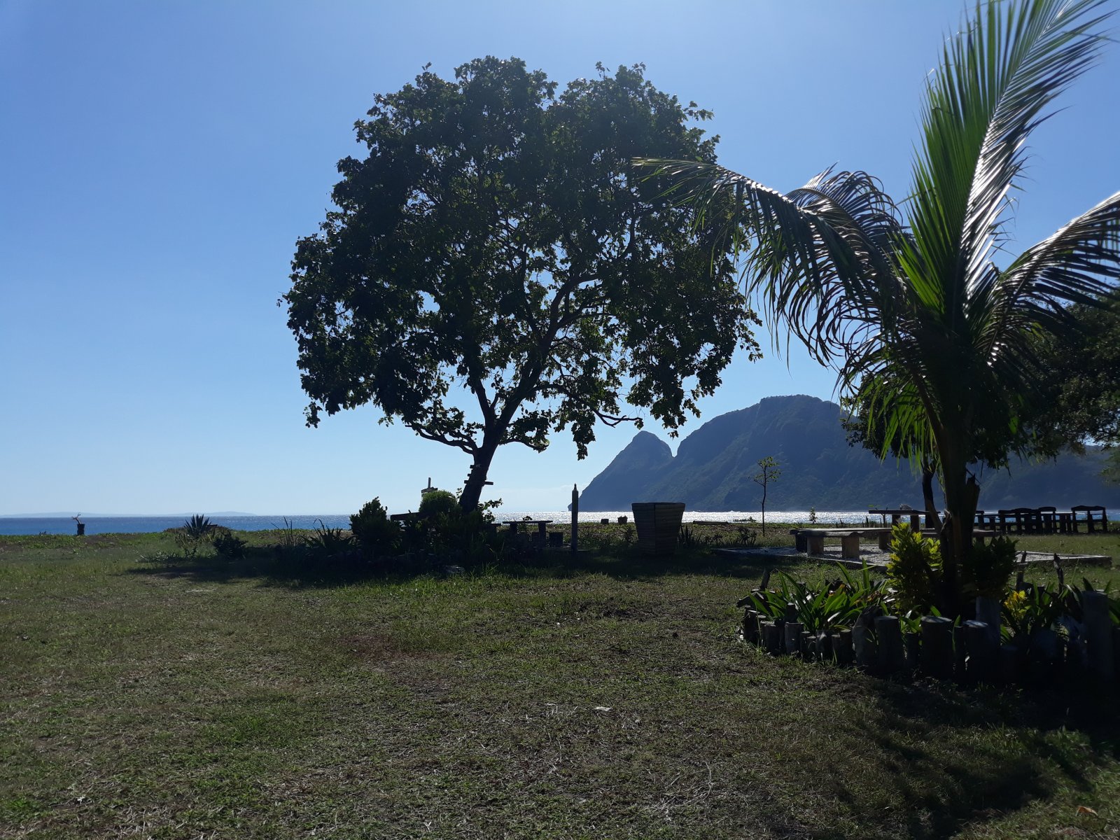 20190617_141544.jpg