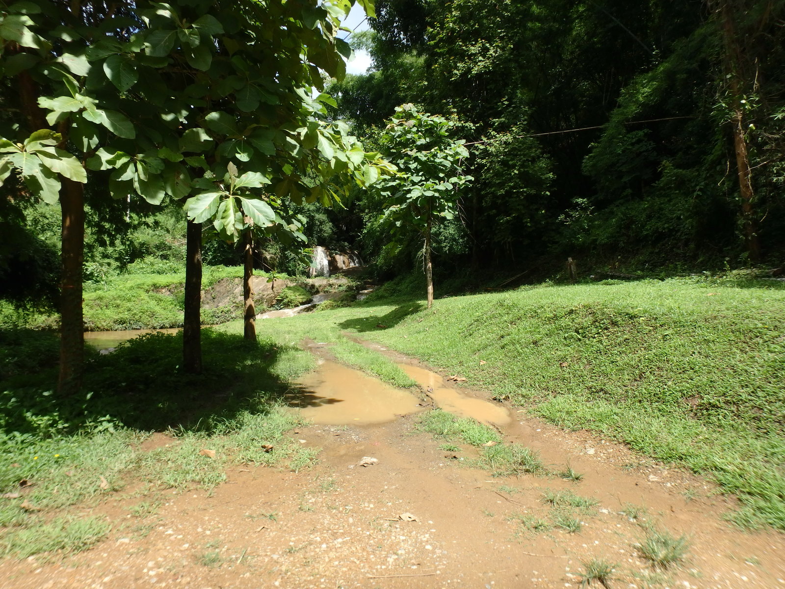 56.jpg