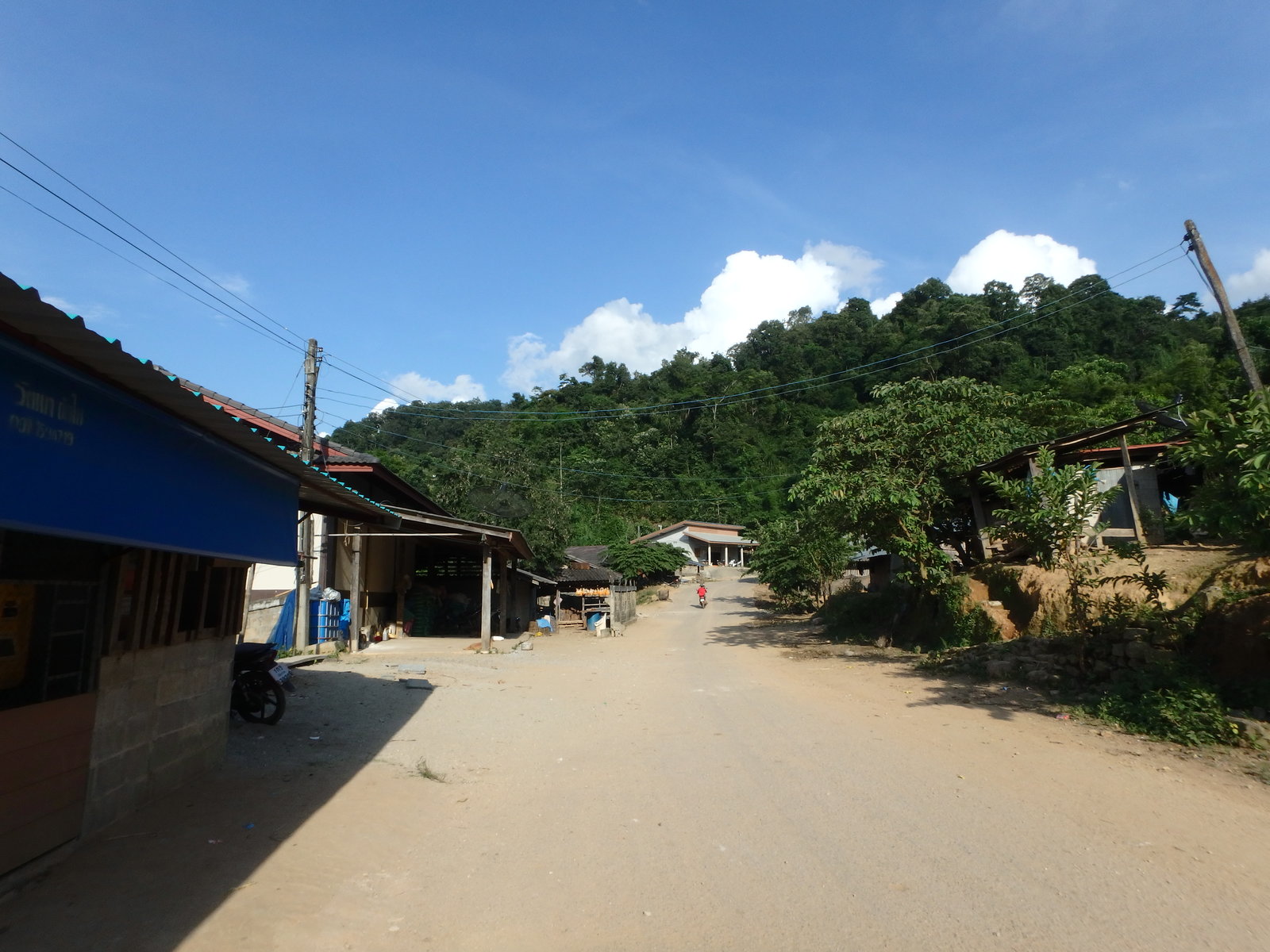 68.jpg