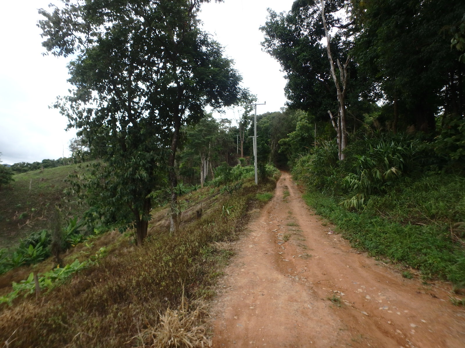 78.jpg