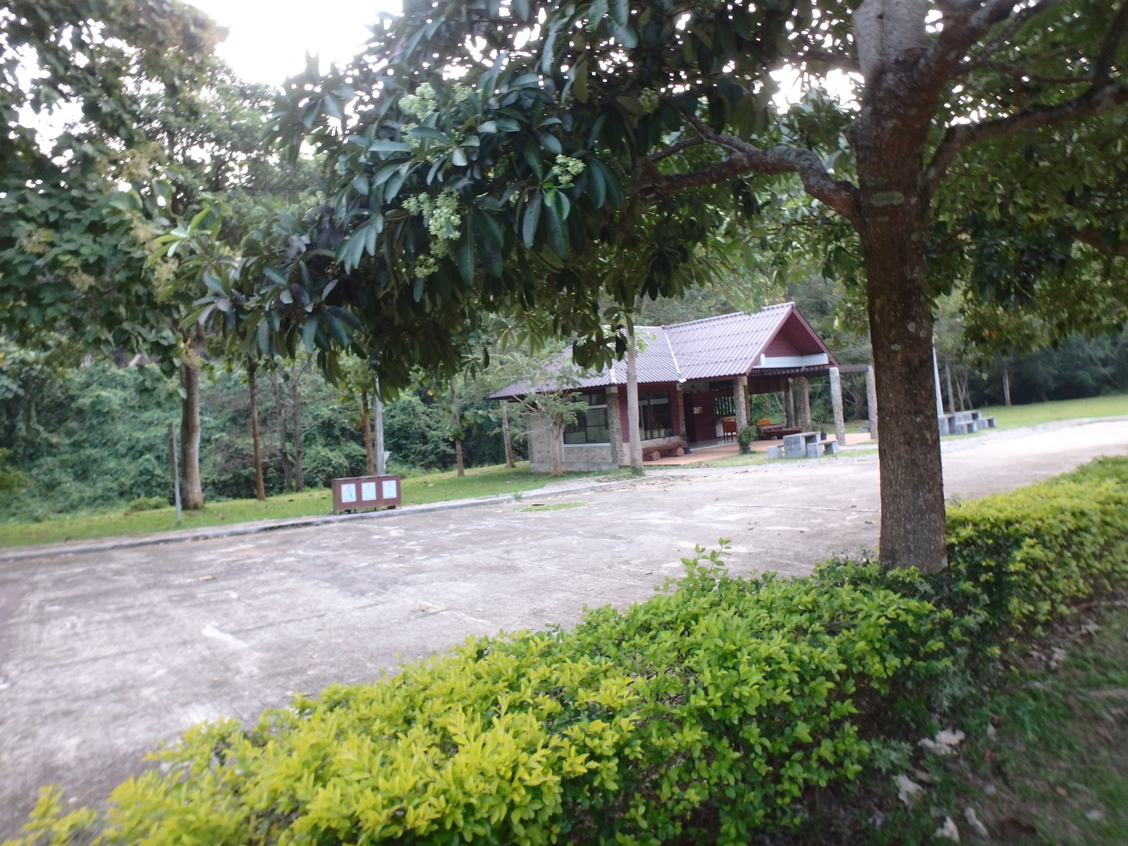 82.jpg