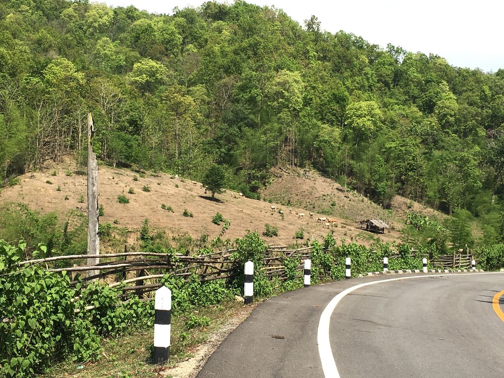 97.JPG
