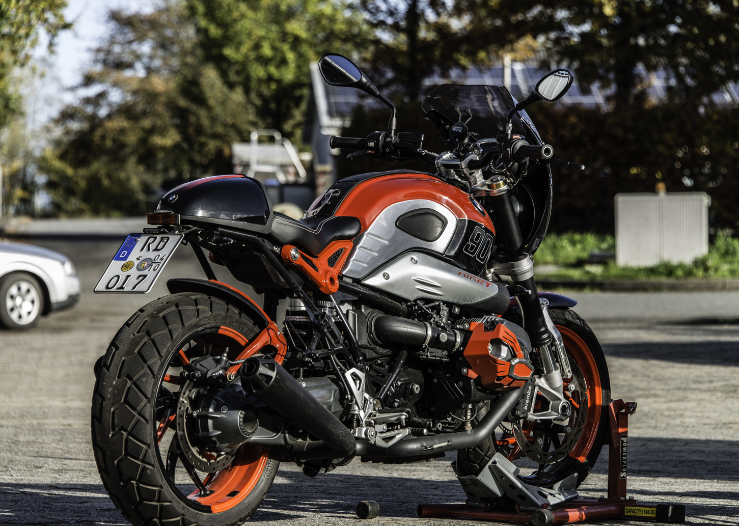 Armin (11 von 23).jpg