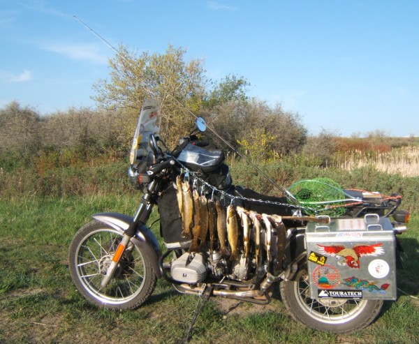 BMW Fishing.jpg