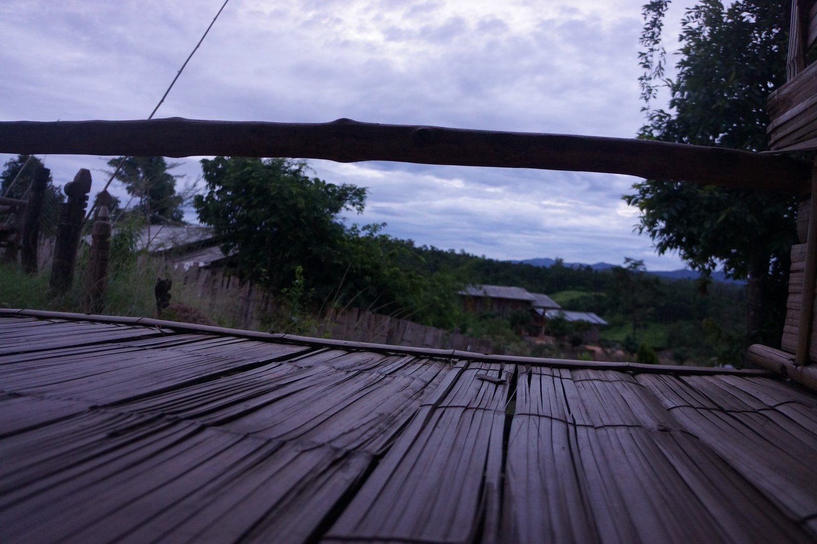 DSC01658.JPG