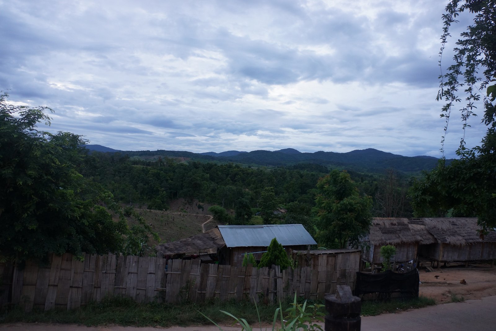 DSC01664.JPG