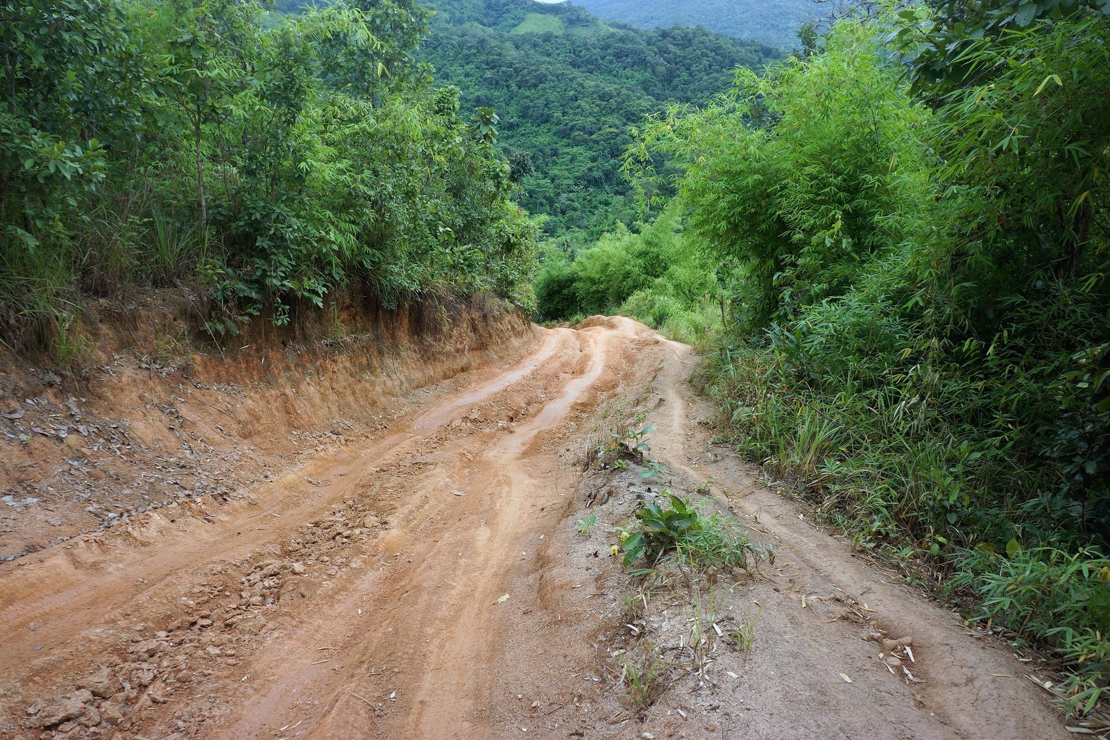 DSC01685.JPG