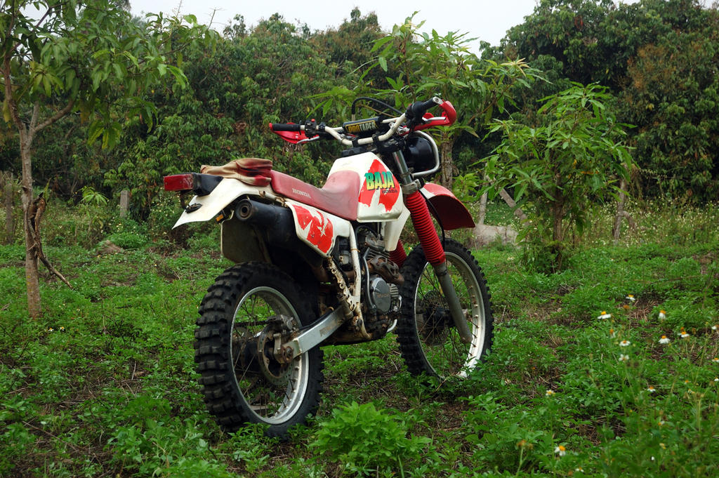 Honda xr 250 baja for sale online