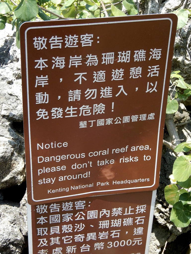 DSCN3219_opt.jpg