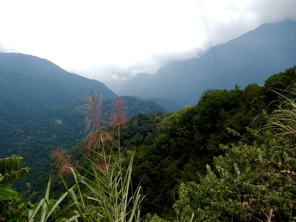 DSCN3274.jpg