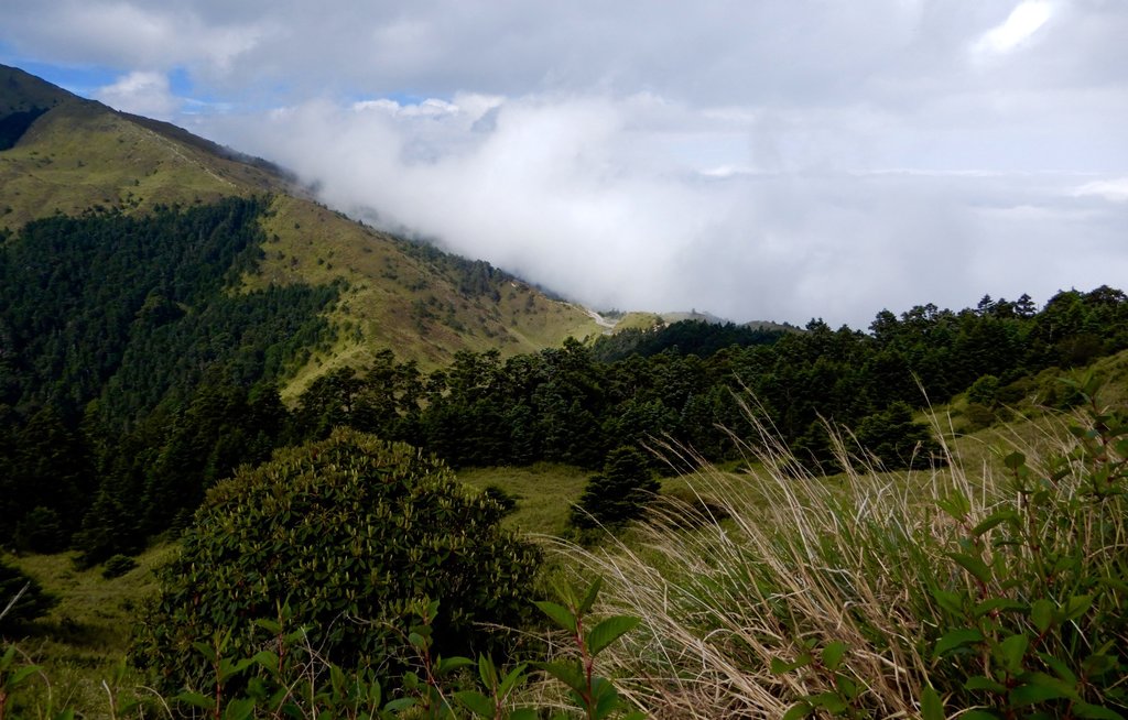 DSCN3290.jpg