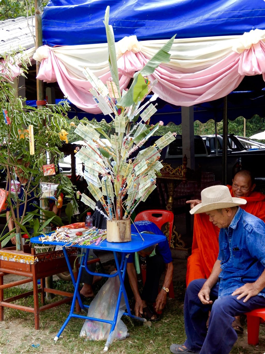 DSCN3373_opt.jpg