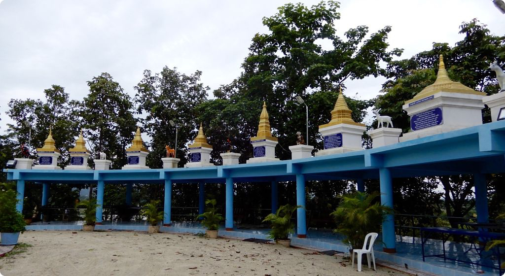 DSCN3403_opt.jpg