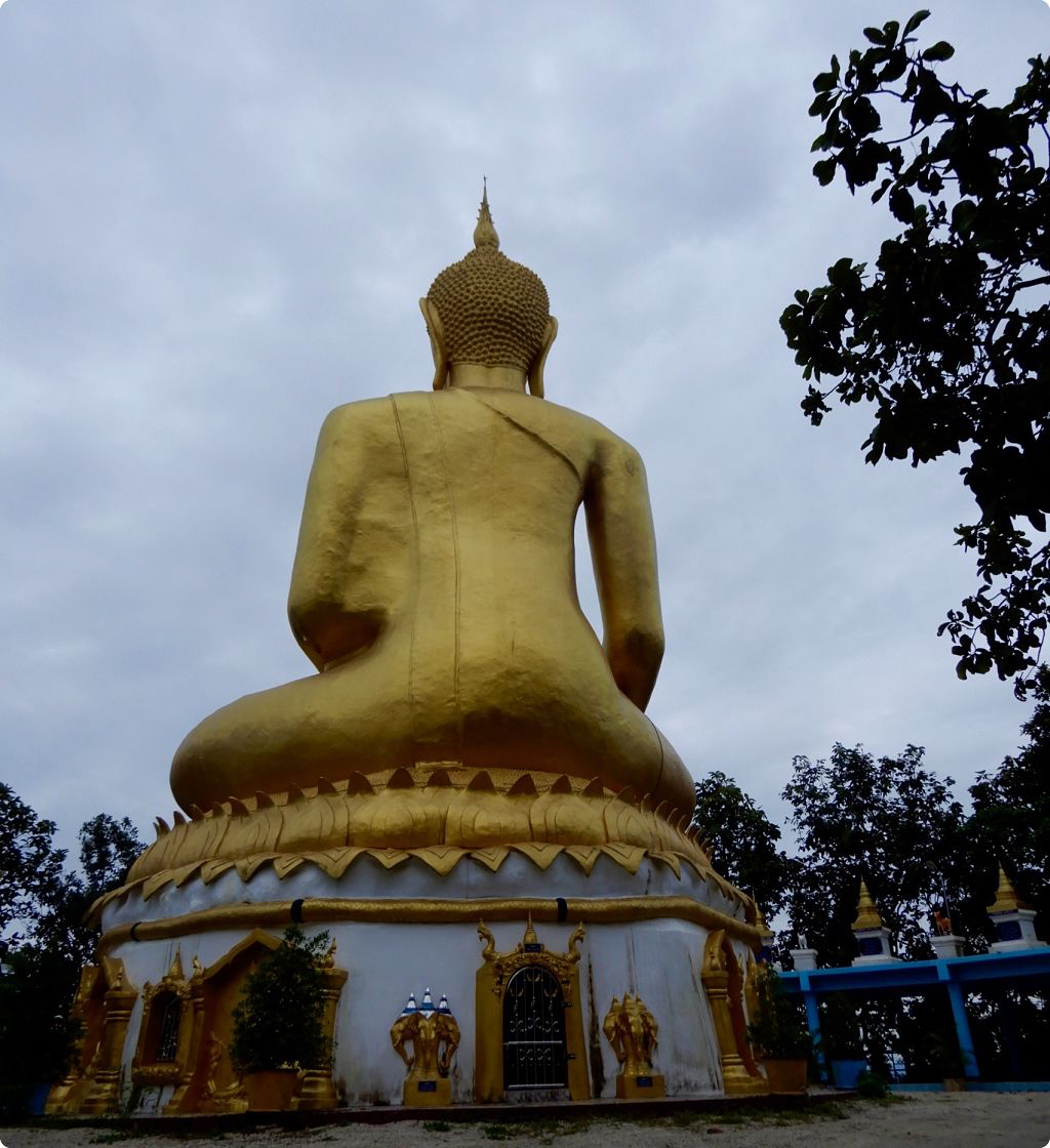 DSCN3404_opt.jpg