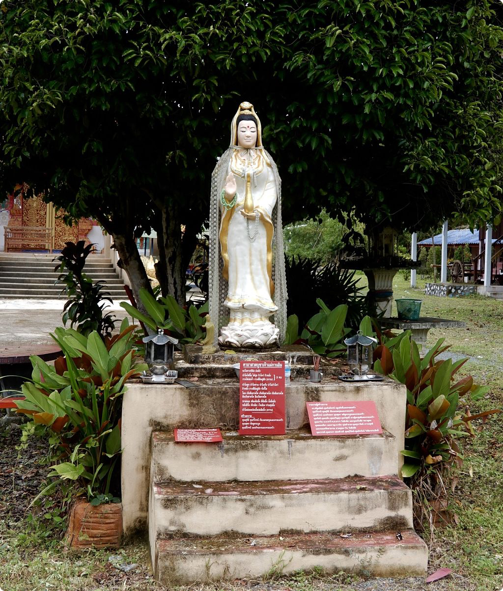 DSCN3413_opt.jpg