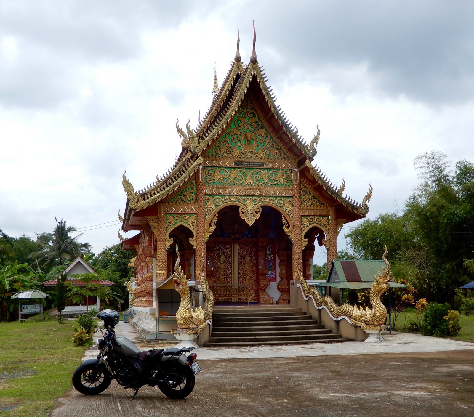 DSCN3414.jpg