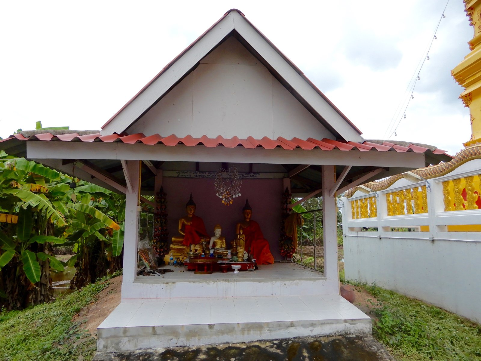 DSCN3417.jpg