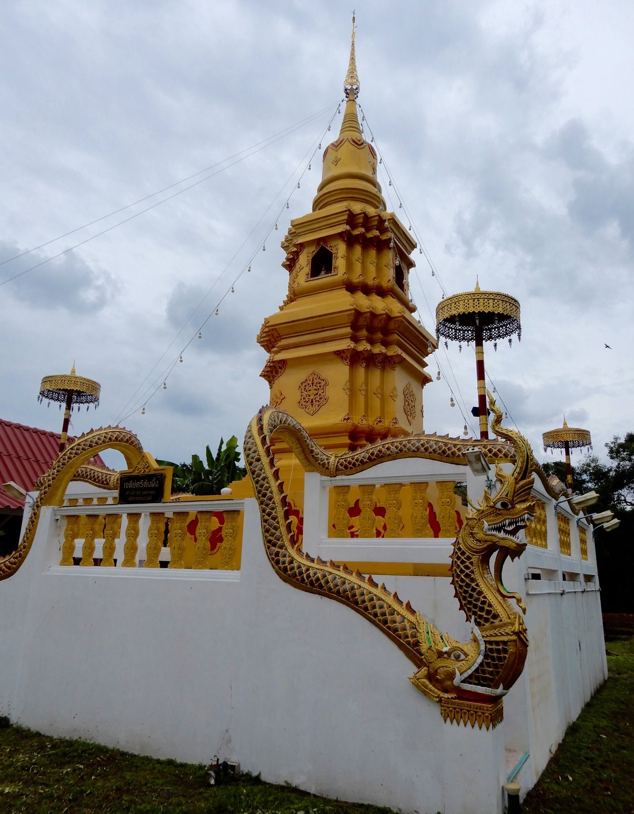 DSCN3419.jpg