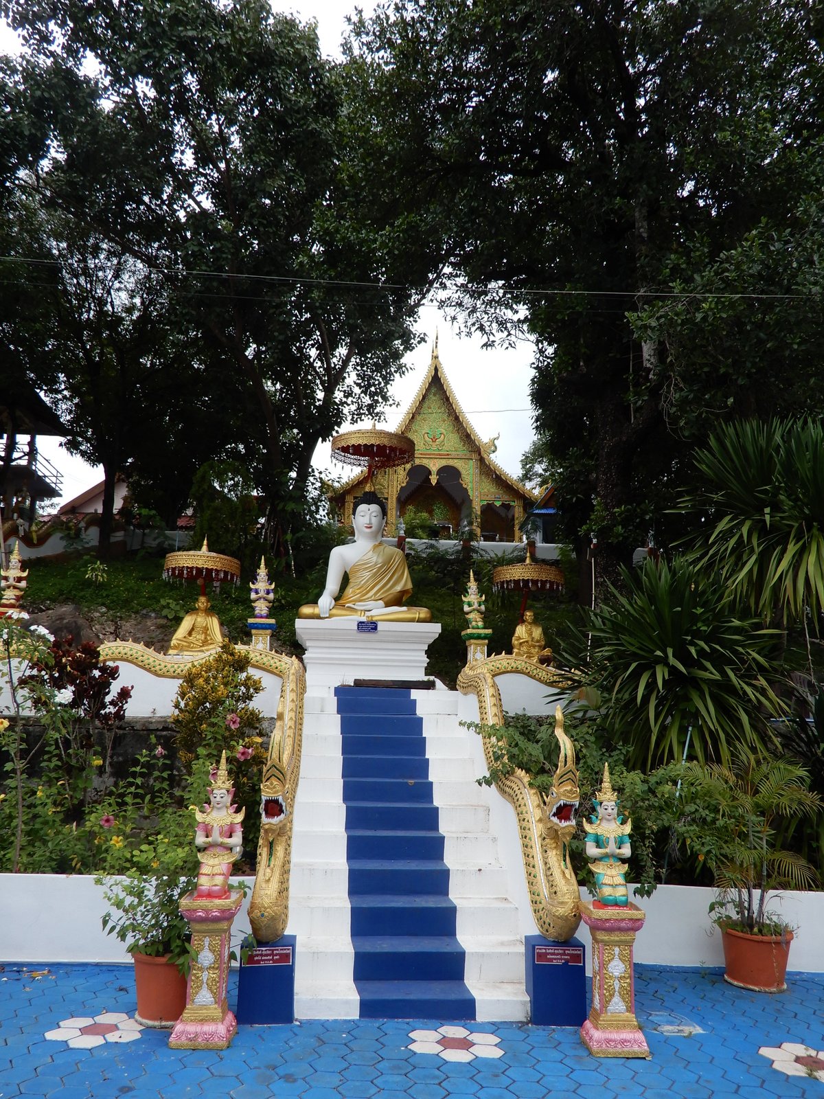 DSCN3424.jpg
