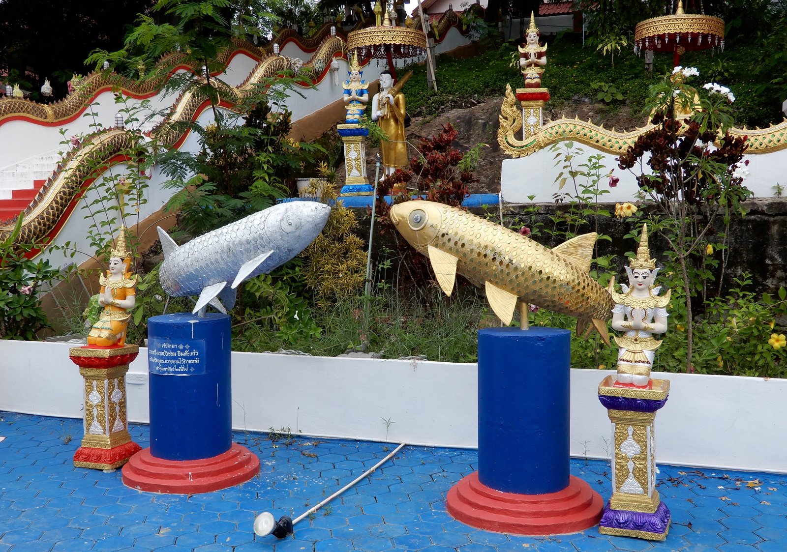 DSCN3425.jpg