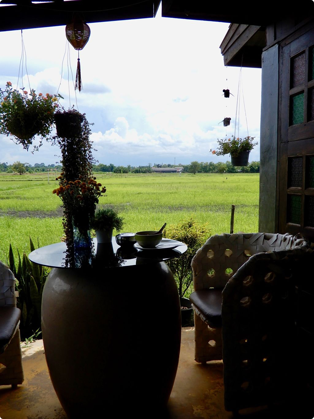 DSCN3520_opt.jpg