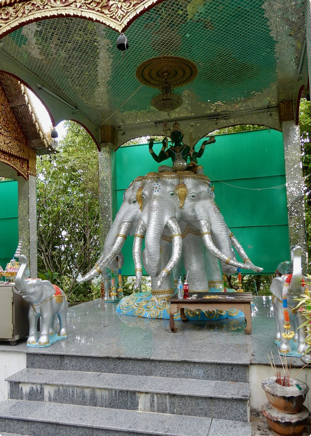 DSCN3537_opt.jpg