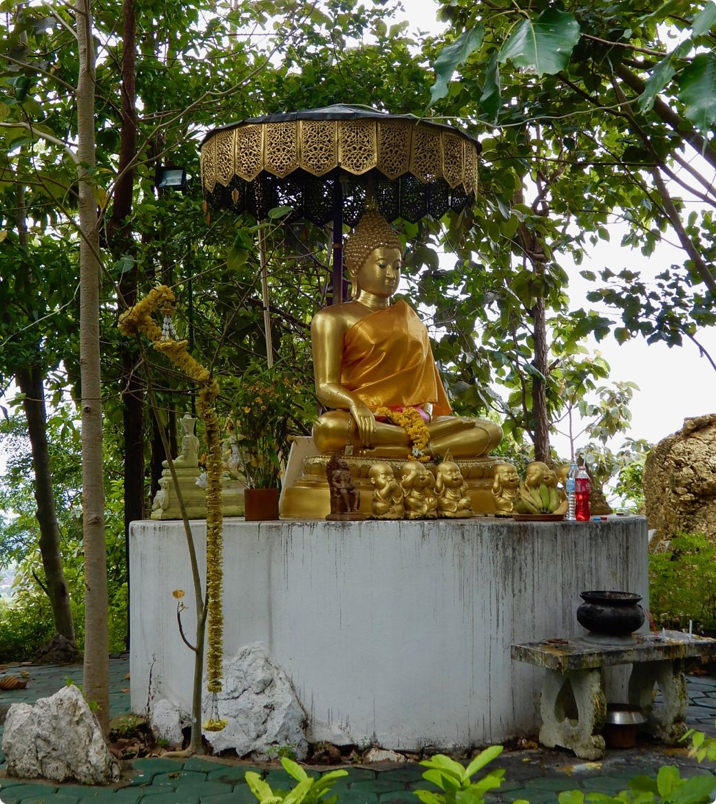 DSCN3538_opt.jpg