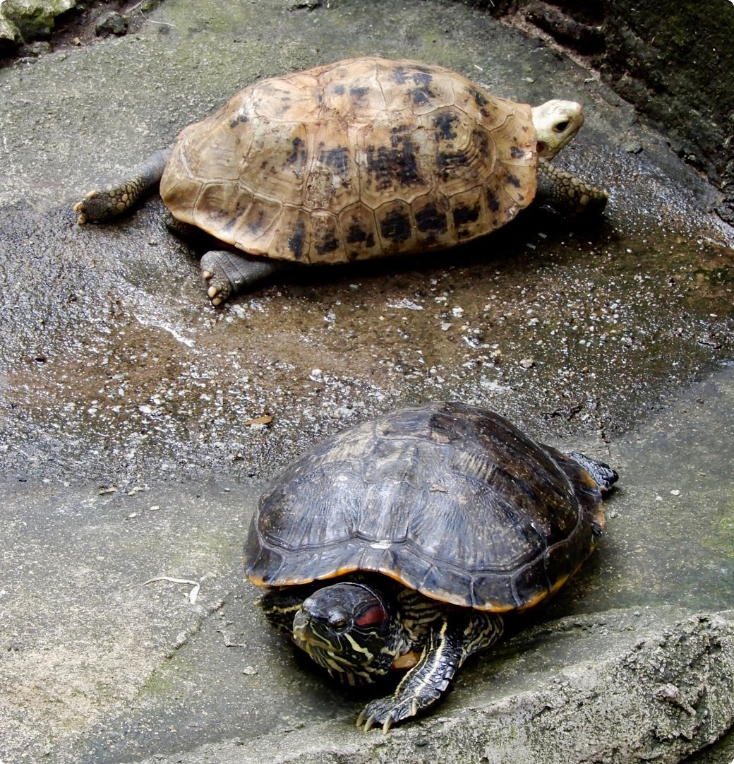 DSCN3545_opt.jpg