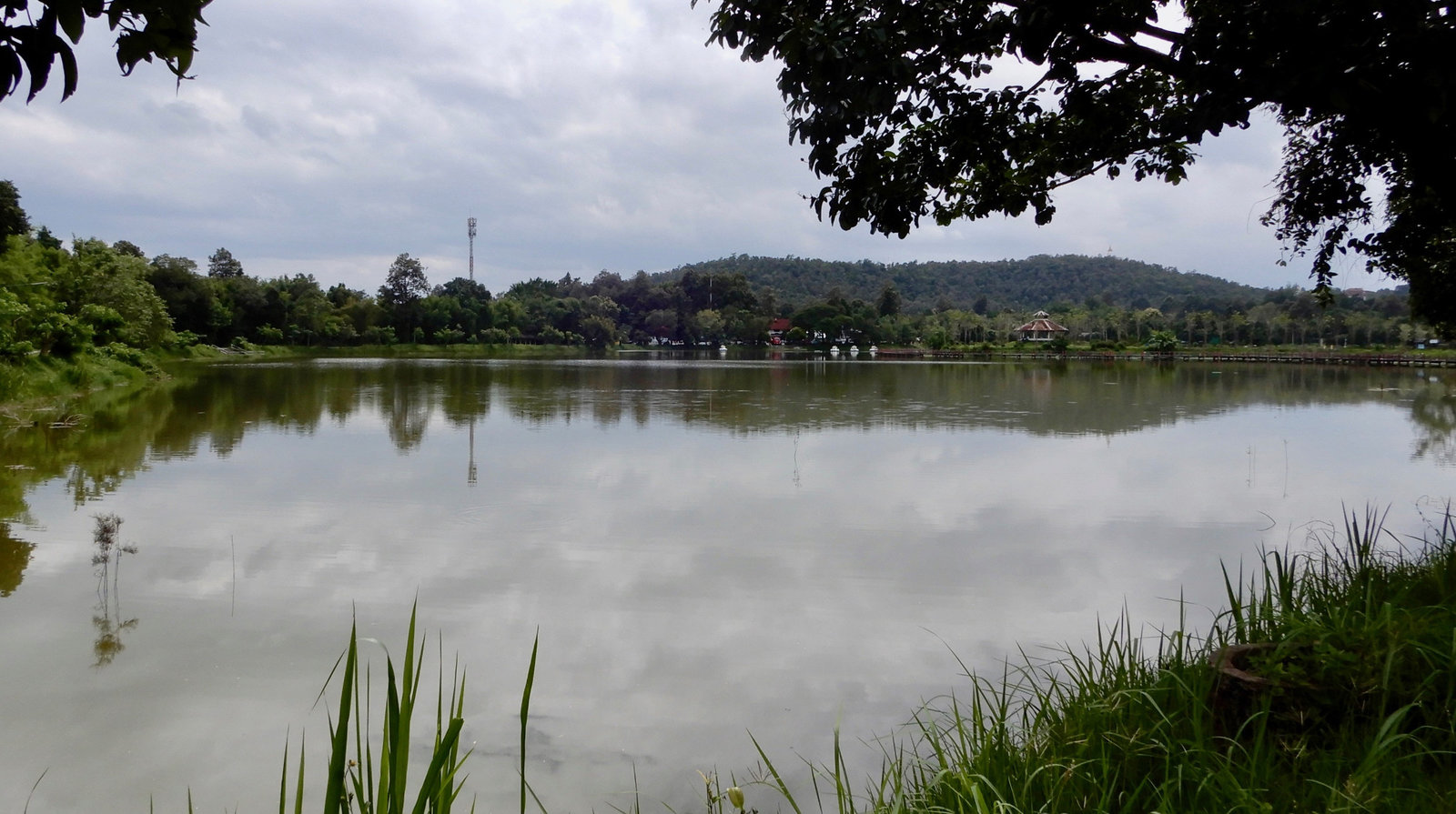 DSCN3562.jpg
