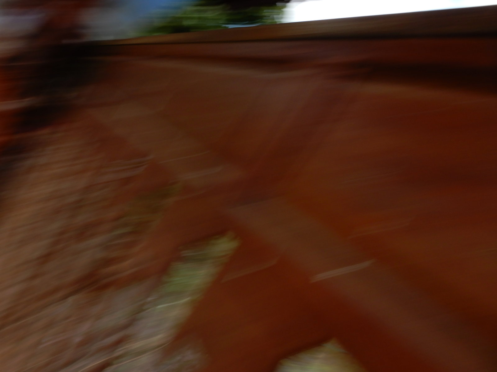 DSCN3569.jpg
