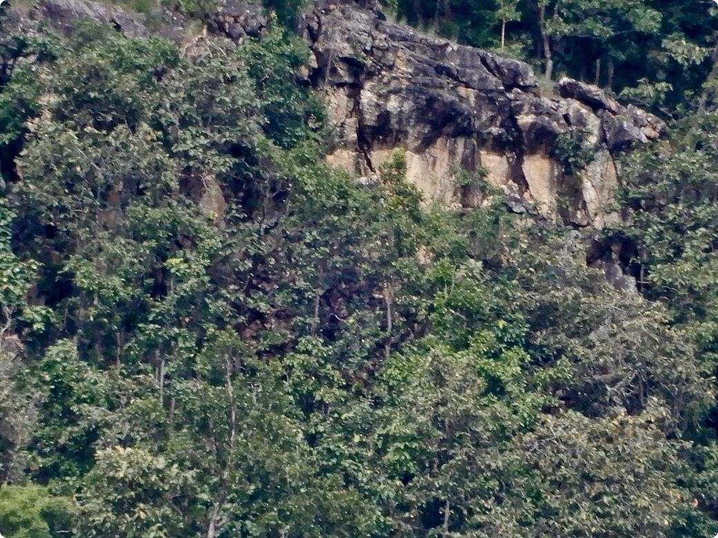 DSCN3595_opt.jpg