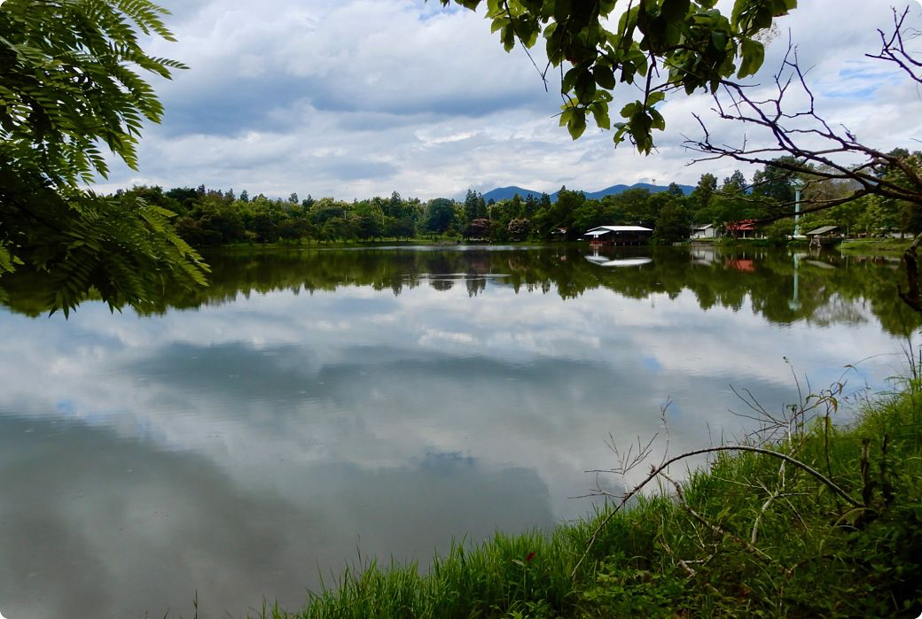 DSCN3600_opt.jpg