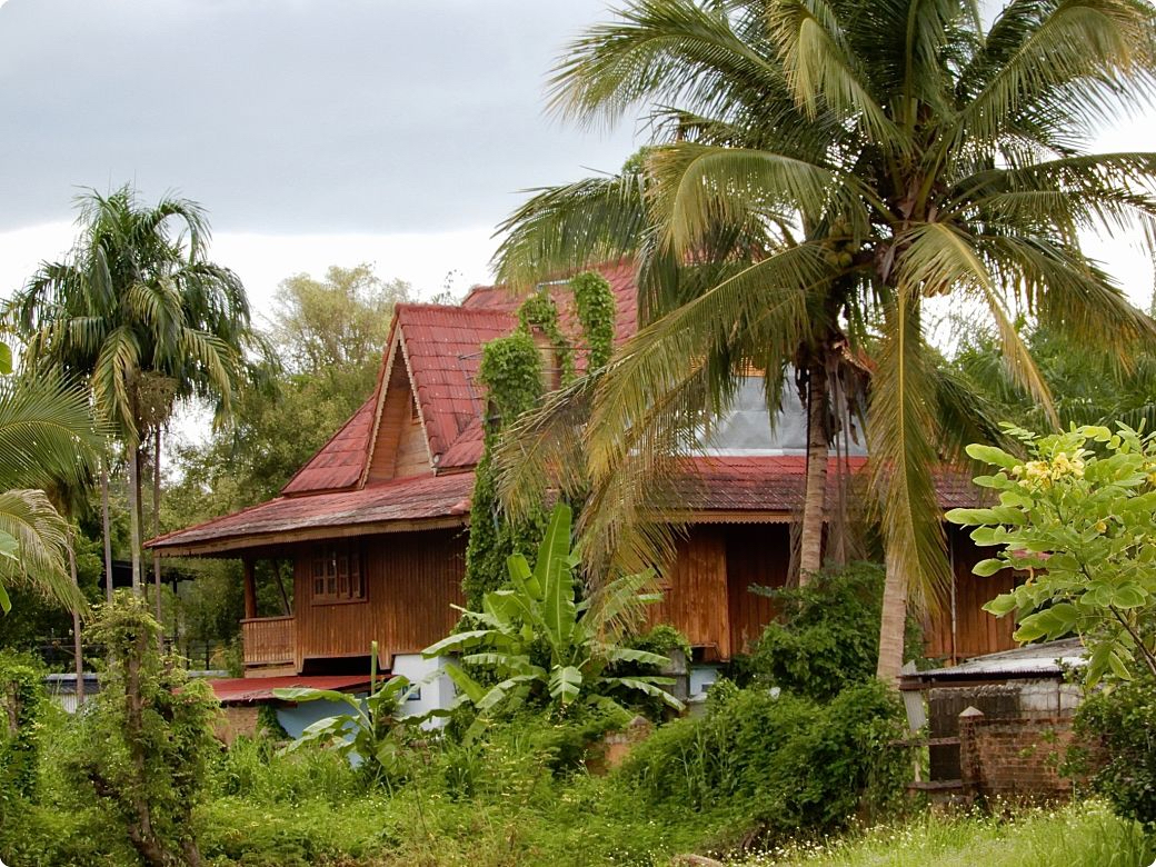 DSCN3606_opt.jpg