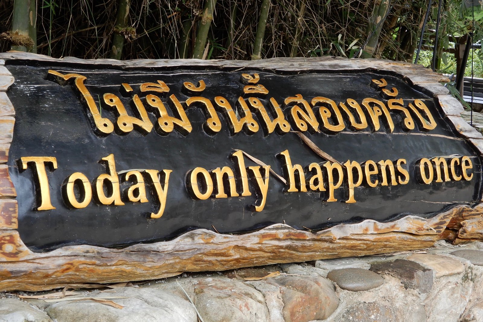 DSCN3646.jpg