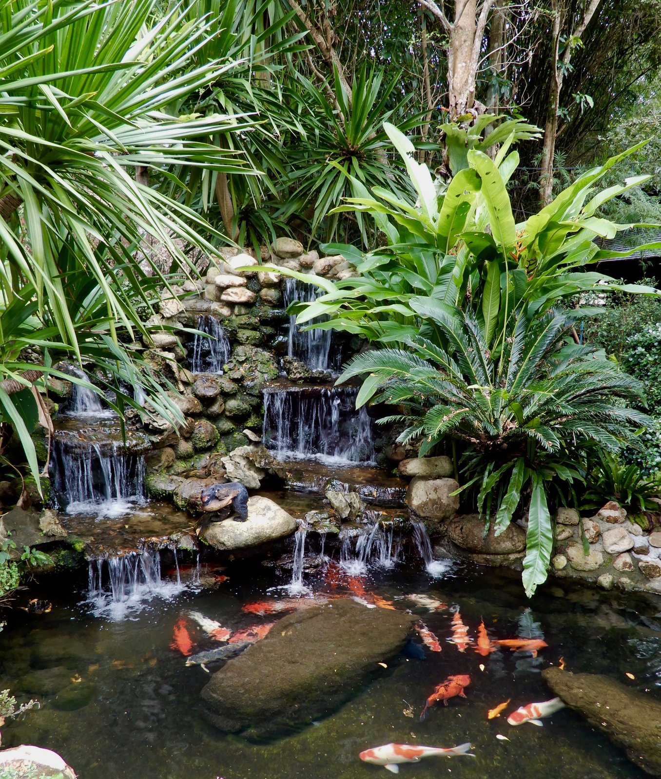 DSCN3648.jpg