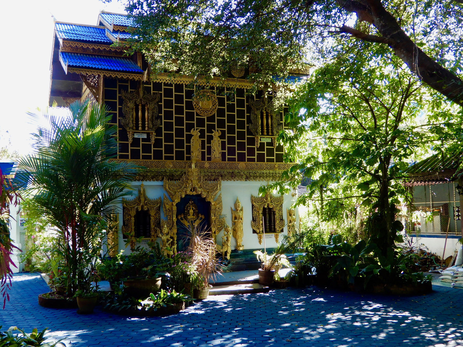 DSCN3797.jpg