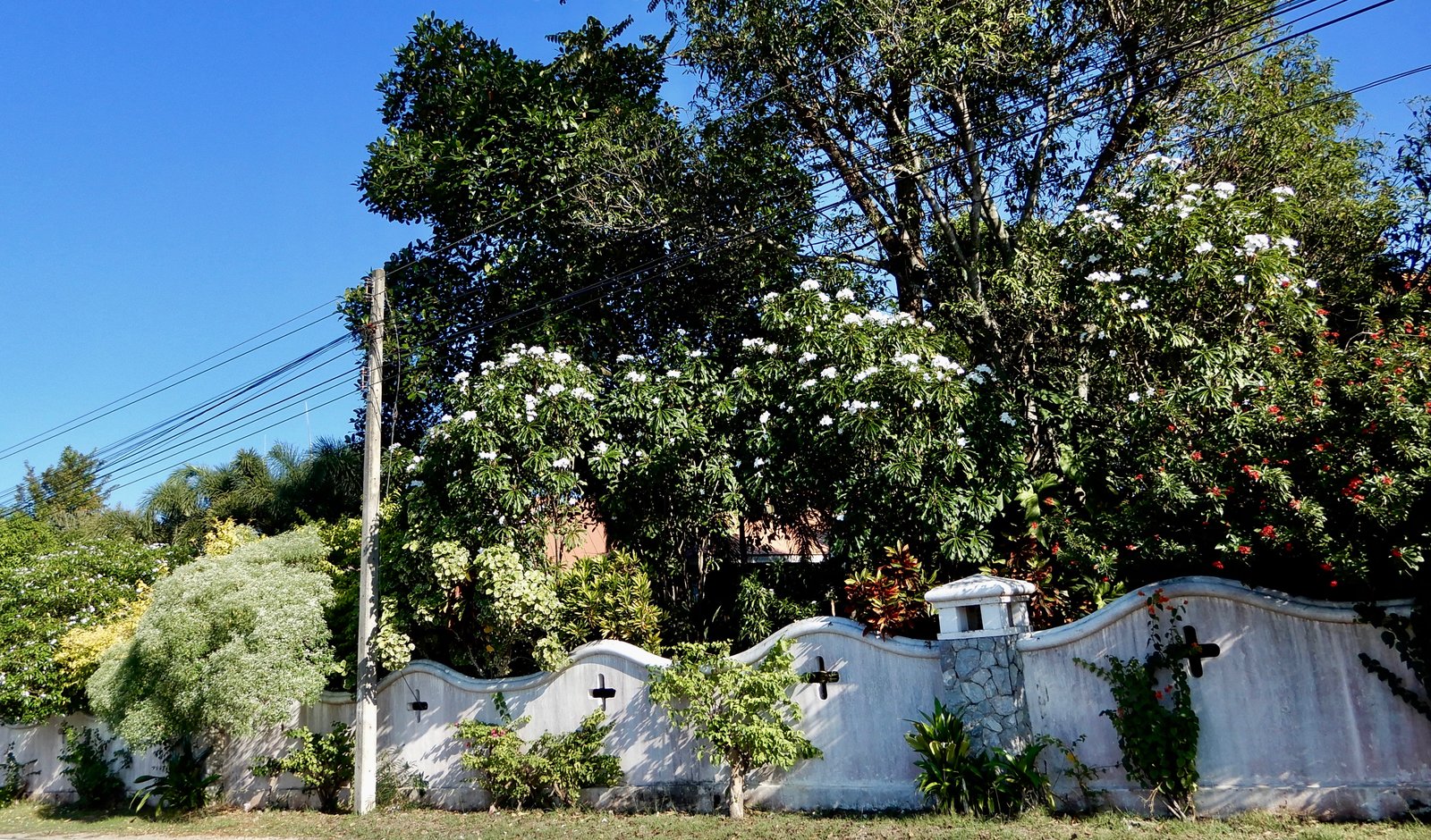 DSCN3804.jpg