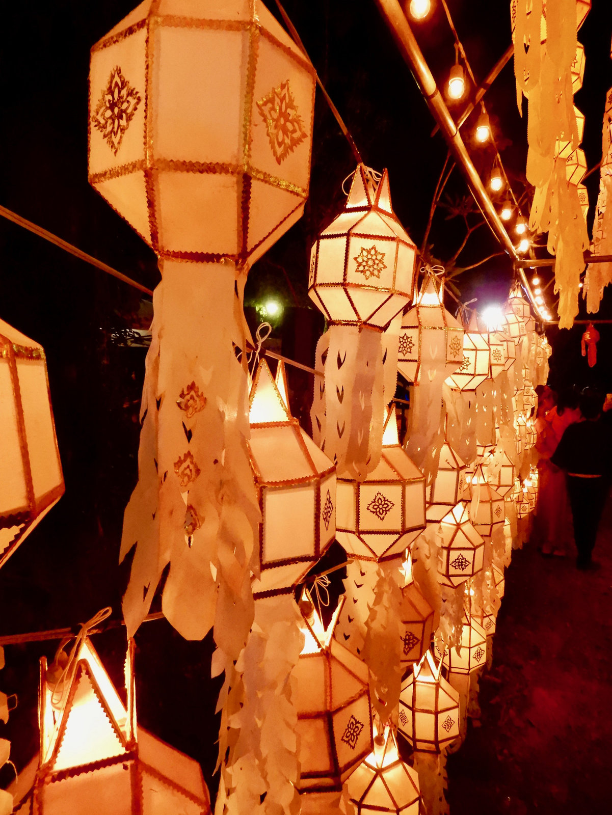 DSCN3860.jpg
