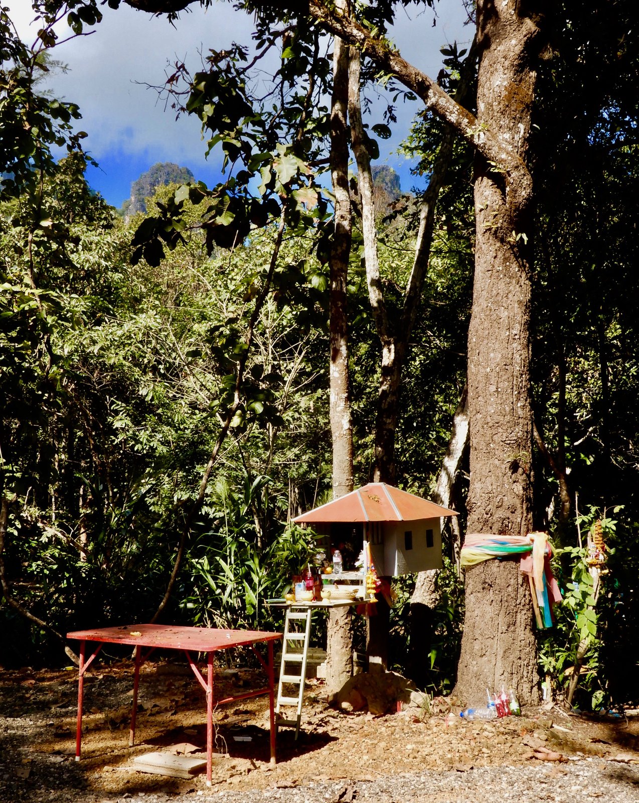 DSCN3868.jpg