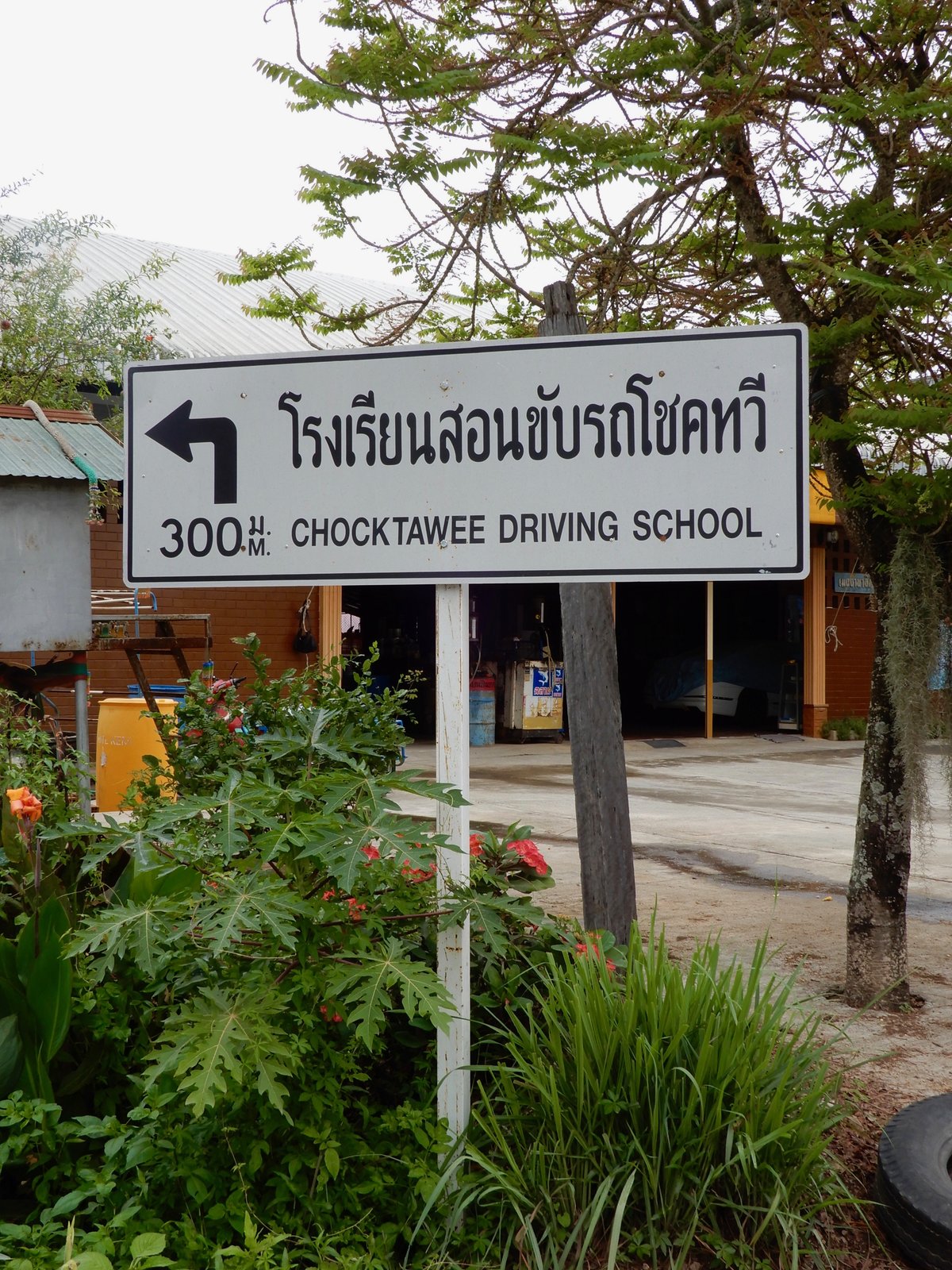 DSCN3872.jpg