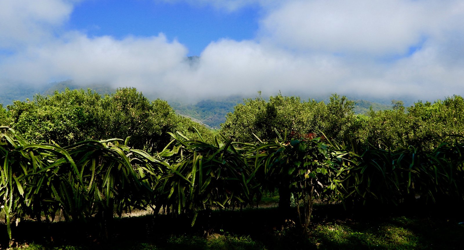 DSCN3880.jpg