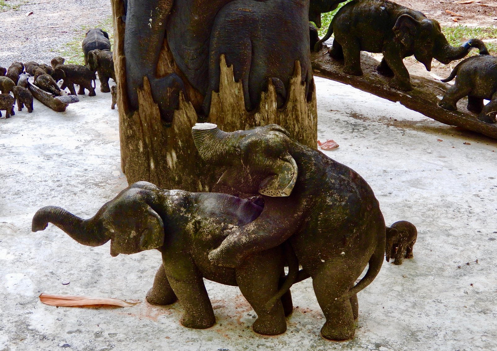 DSCN3908.jpg