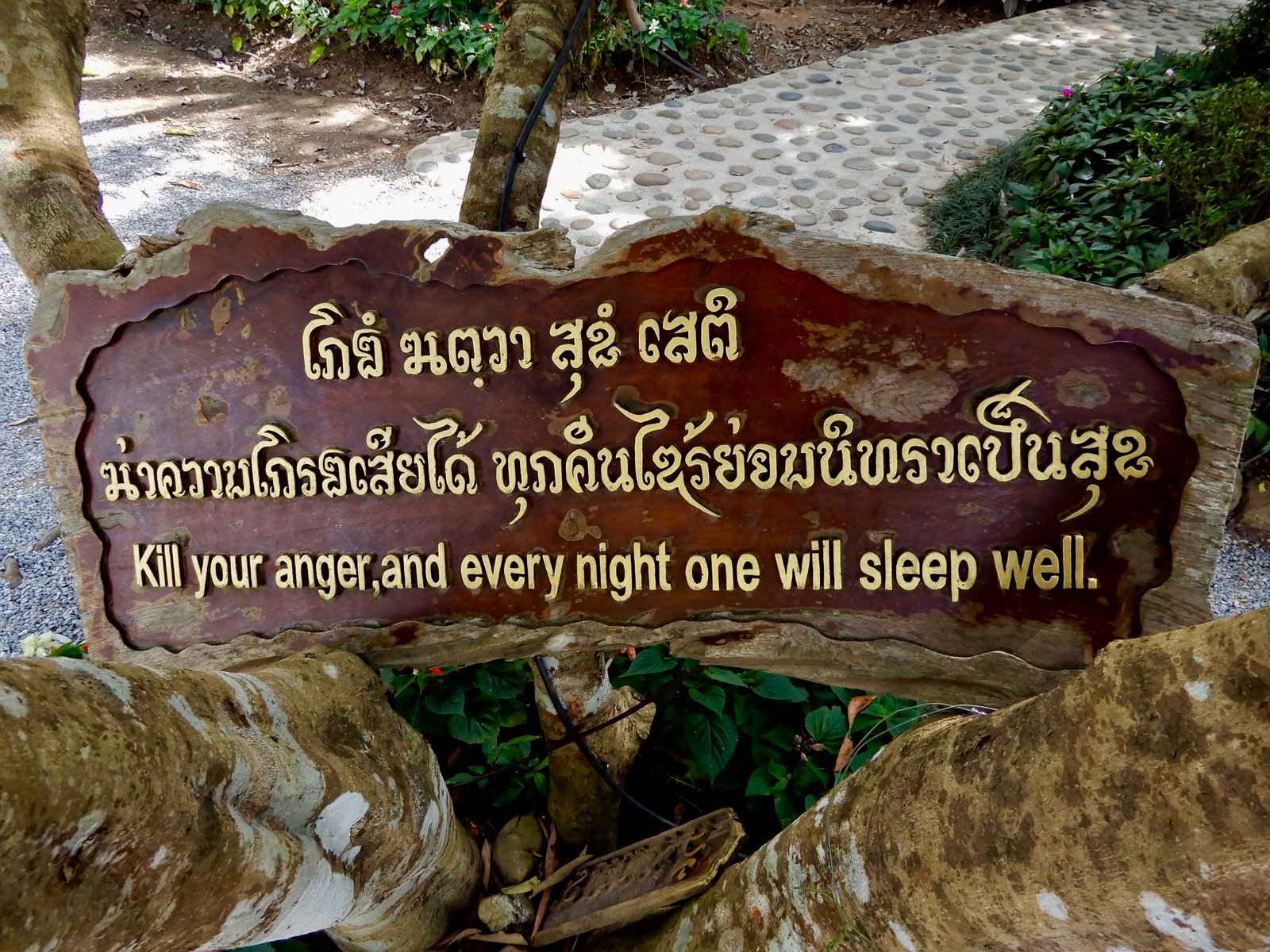 DSCN3910.jpg